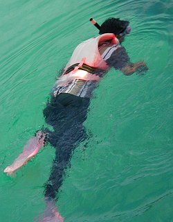 swimsuit bodysuit for snorkeling